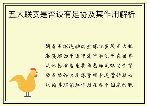 五大联赛是否设有足协及其作用解析